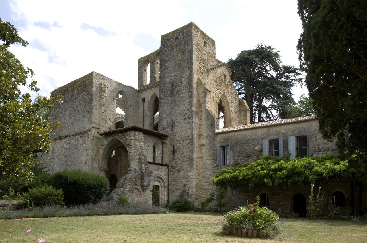 Abbaye De Villelongue Saint-Martin-le-Vieil Exterior photo